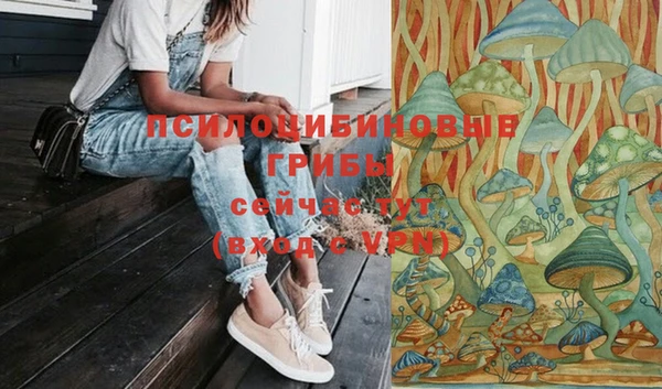 прущая мука Армянск
