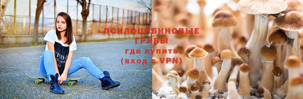 бутик Аркадак