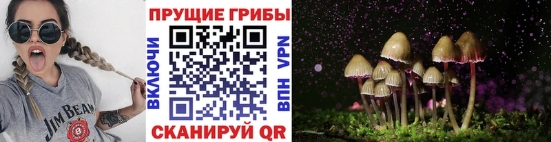 блэк спрут   Пыть-Ях  Галлюциногенные грибы прущие грибы 